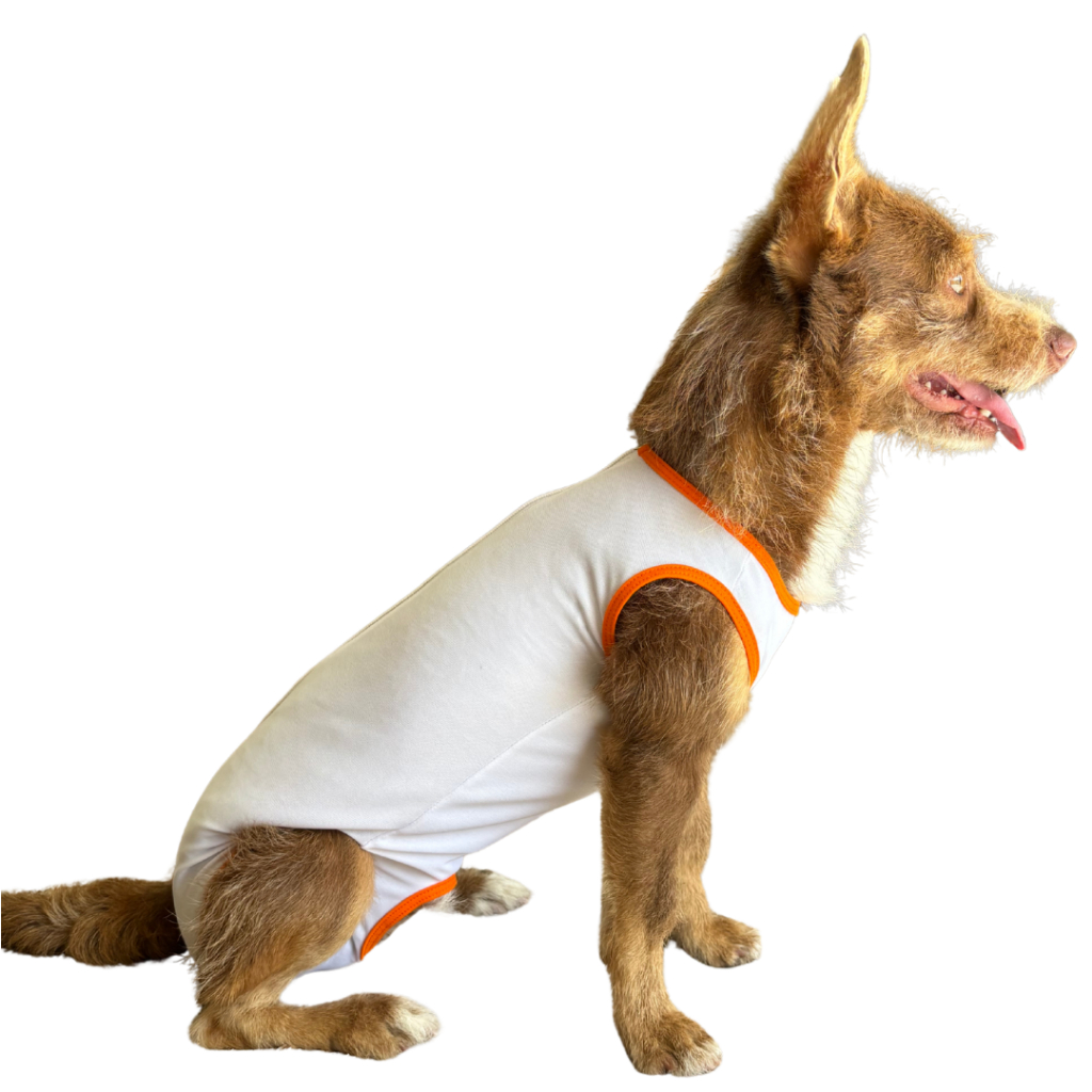 Roupa Pós Cirúrgica Pet - Castração Cirurgia Macho e Fêmea Macacão Protetor para Cachorro e Gato