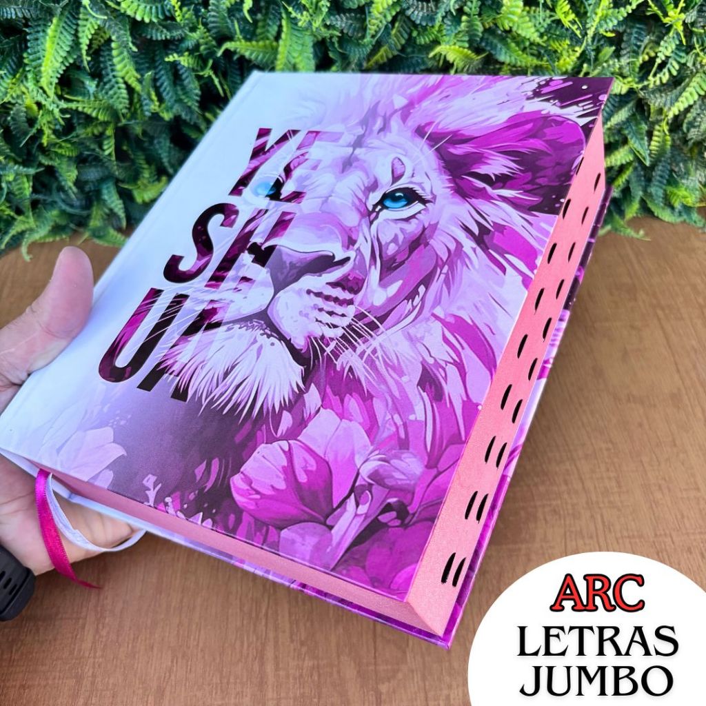 Bíblia Ultra Gigante: Onde Comprar | BuscaProdutos