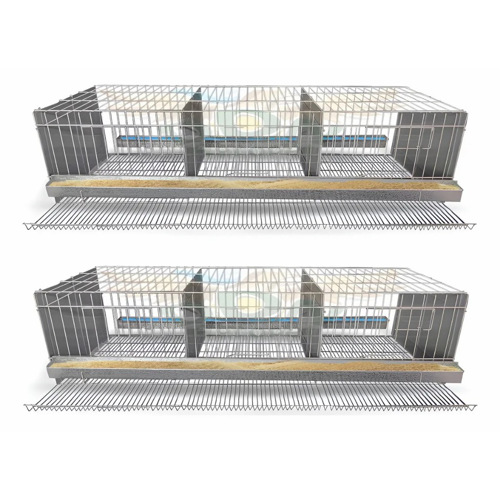 Kit 2 Gaiola Codorna Gigante Viveiro Poedeira Total 48 Aves