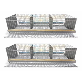 Kit 2 Gaiola Codorna Gigante Viveiro Poedeira Total 48 Aves em Oferta na Shopee