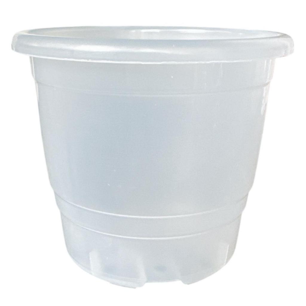 10 Vasos Para Orquídeas Transparente Plantas De 2,3 Litros Decoração