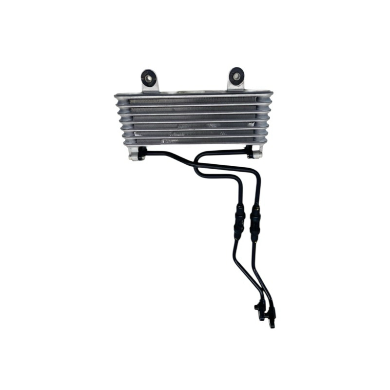 Radiador Honda Cb Twister 300f Usado Original