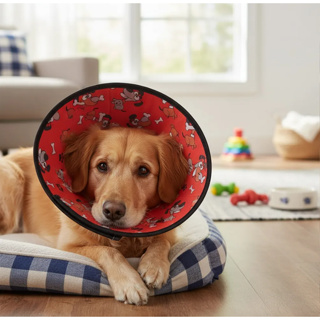 Colar Elizabetano Confort em tecido king of pets em Oferta na Shopee