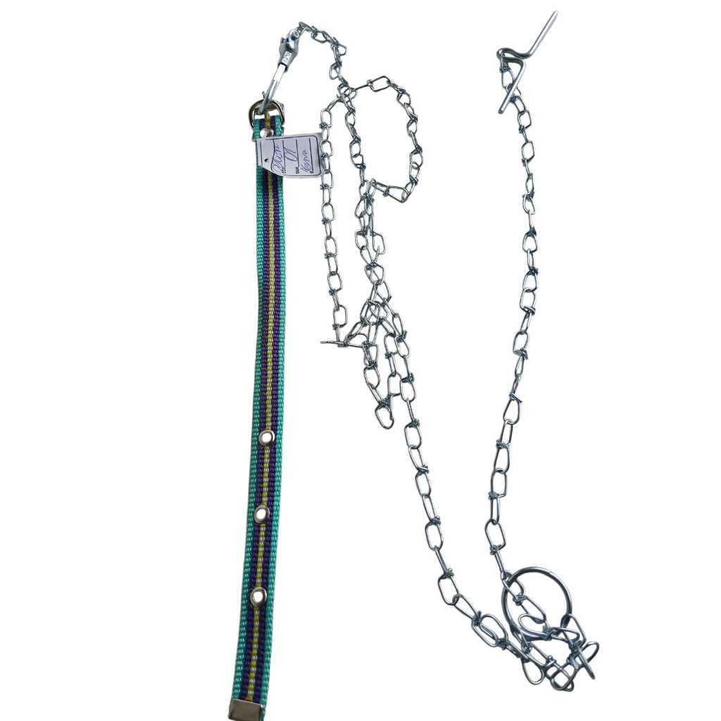 kit coleira + corrente para gatos e cães pequenos (corrente n°7 + coleira com 33cm)