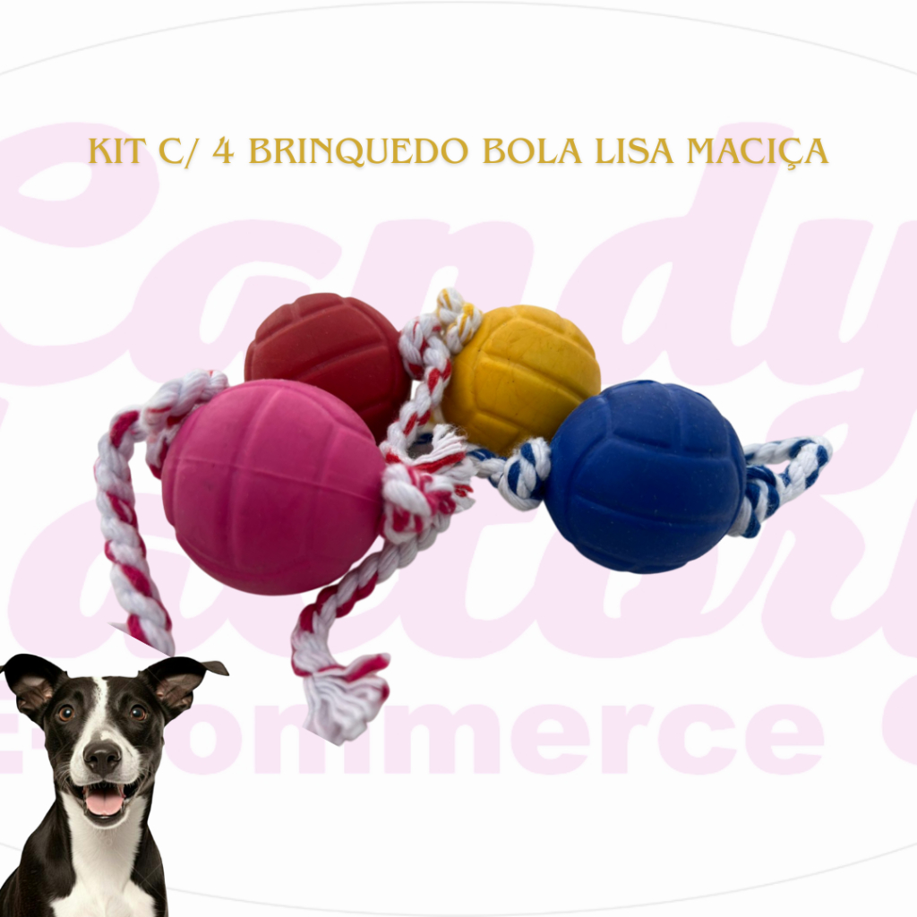 Kit C/ 4 Brinquedos Bola Lisa Maciça Com CORDA para Cães Pet Bolinha
