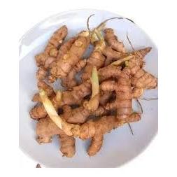 Lâmpada Led para Chácara: Onde Comprar | BuscaProdutos