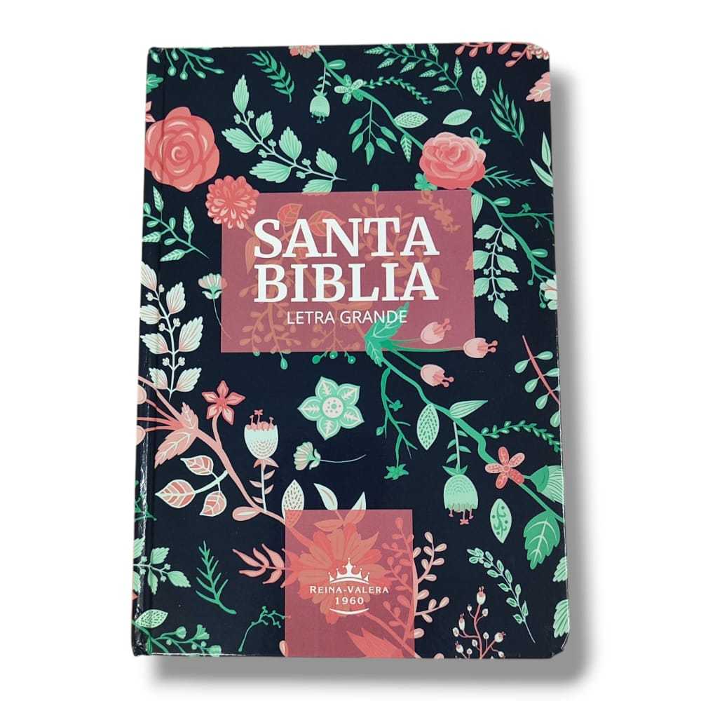 Bíblia em Espanhol: Onde Comprar | BuscaProdutos