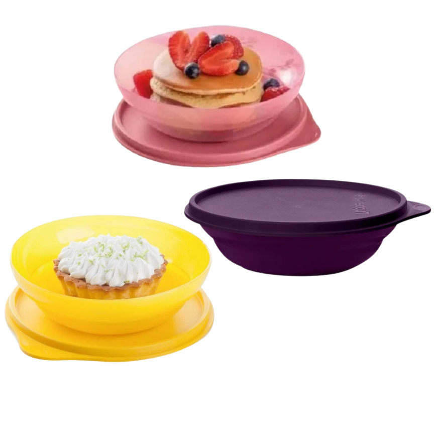 Tupper Kit Tigela Pragela Tupperware 450ml