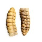 Guizo de Cascavel: Onde Comprar | BuscaProdutos