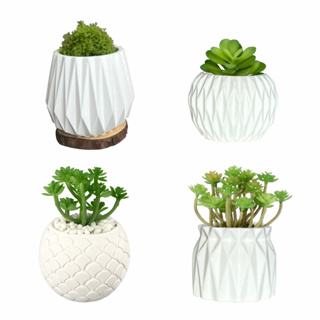 Kit 4 Vaso Decorativo de Gesso Texturizado para Suculentas Cactos e Outras Plantas em Oferta na Shopee