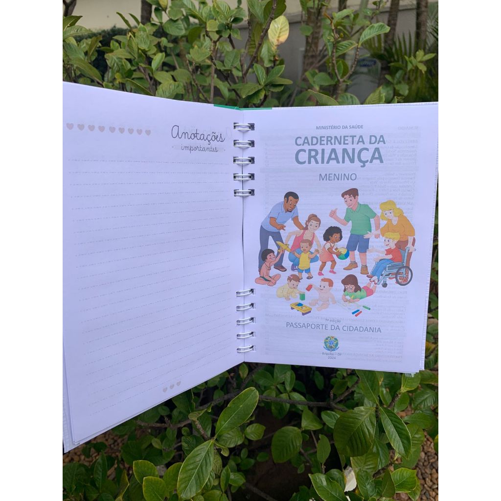 Caderneta Carteirinha de Vacinação Personalizada Bebê Infantil Capa Dura A5 – Tema Arca de Noé