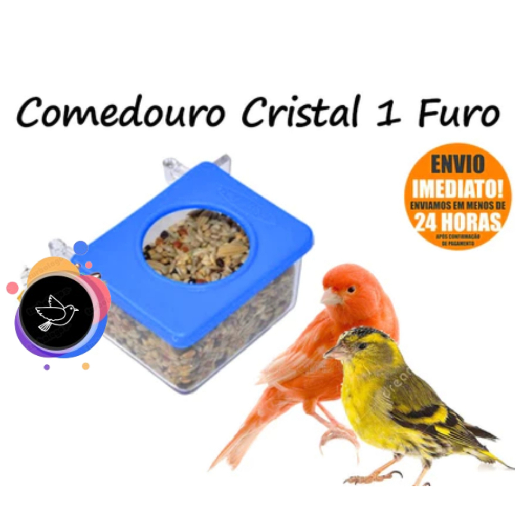 Comedouro Cristal 1 Furo Garra Com Suporte - Excelente Para Passaros Pequenos Canario Tarin Tizil Coleiro Pintassilgo