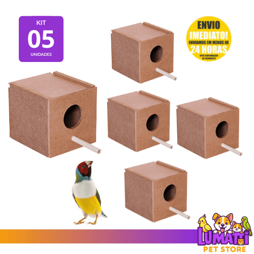 Aves Diamante: Guia Completo e Onde Comprar | BuscaProdutos