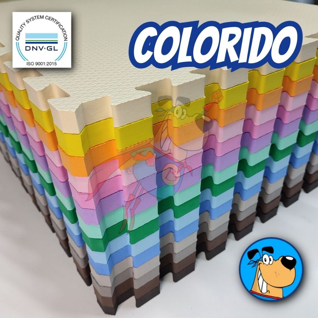 Kit 12 tatame EVA infantil PREMIUM 50cmX50cm X 20mm de espessura com bordas de acabamento | COLORIDO