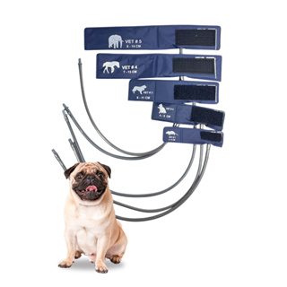 Kit Braçadeiras Manguito 1 Via Veterinário - Tamanhos 1 Ao 5 em Oferta na Shopee