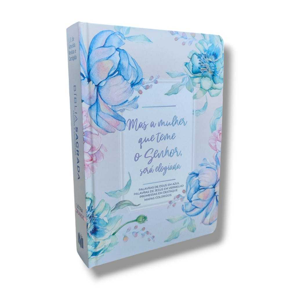 Bíblia Plenitude Feminina: Onde Comprar | BuscaProdutos