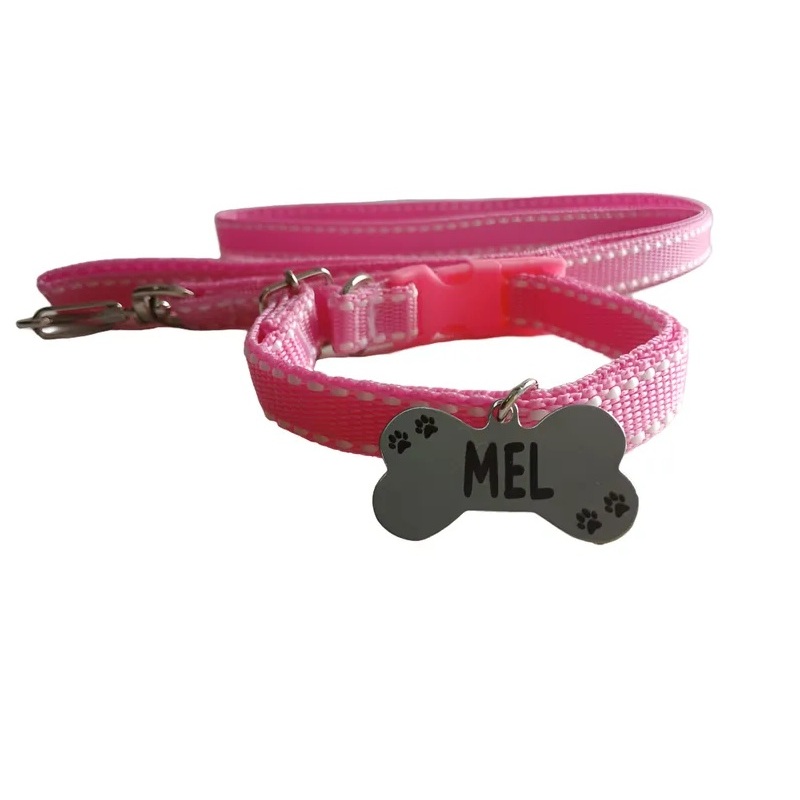 Coleira + Identificação + guia para cachorros