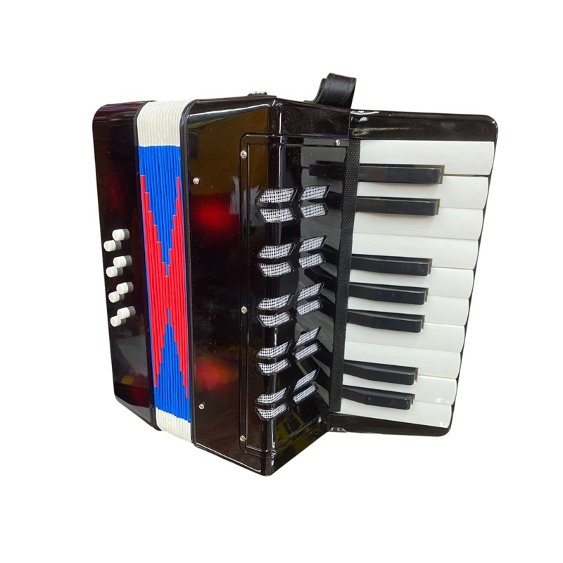Sanfona Gaita  Acordeon 8 Baixos Semiprofisssional