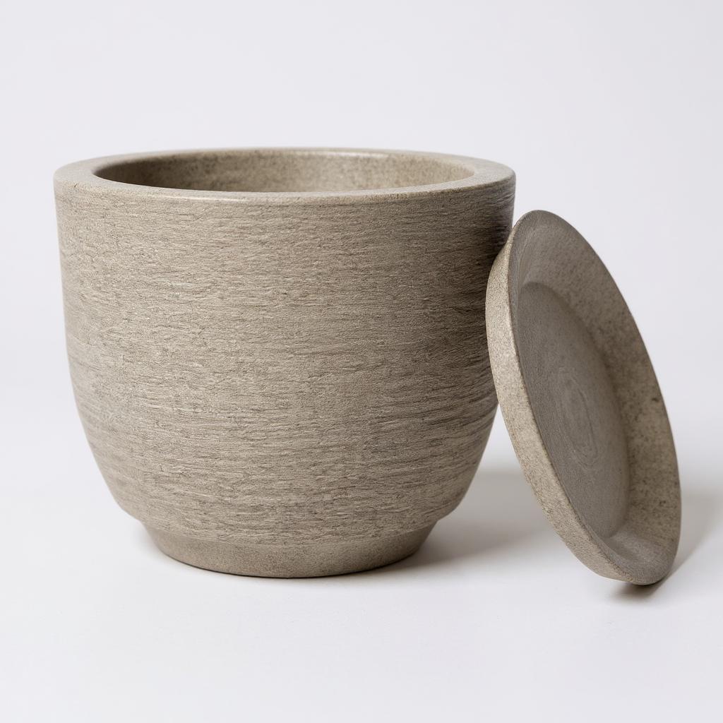 Lírio da Paz: Guia Completo e Onde Comprar | BuscaProdutos