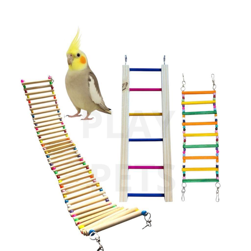 KIT Pontes (3 MODELOS DE PONTE ESCADA) para Calopsitas e Aves
