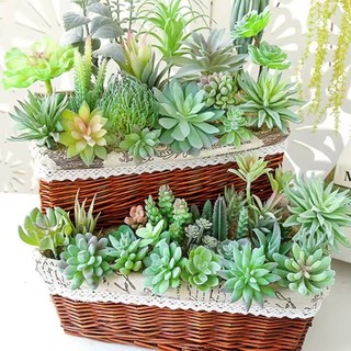 Kit 6 a 20 Pcs Suculentas Artificiais Sortidas Decorativas Vários estilos mistura e combinação - P