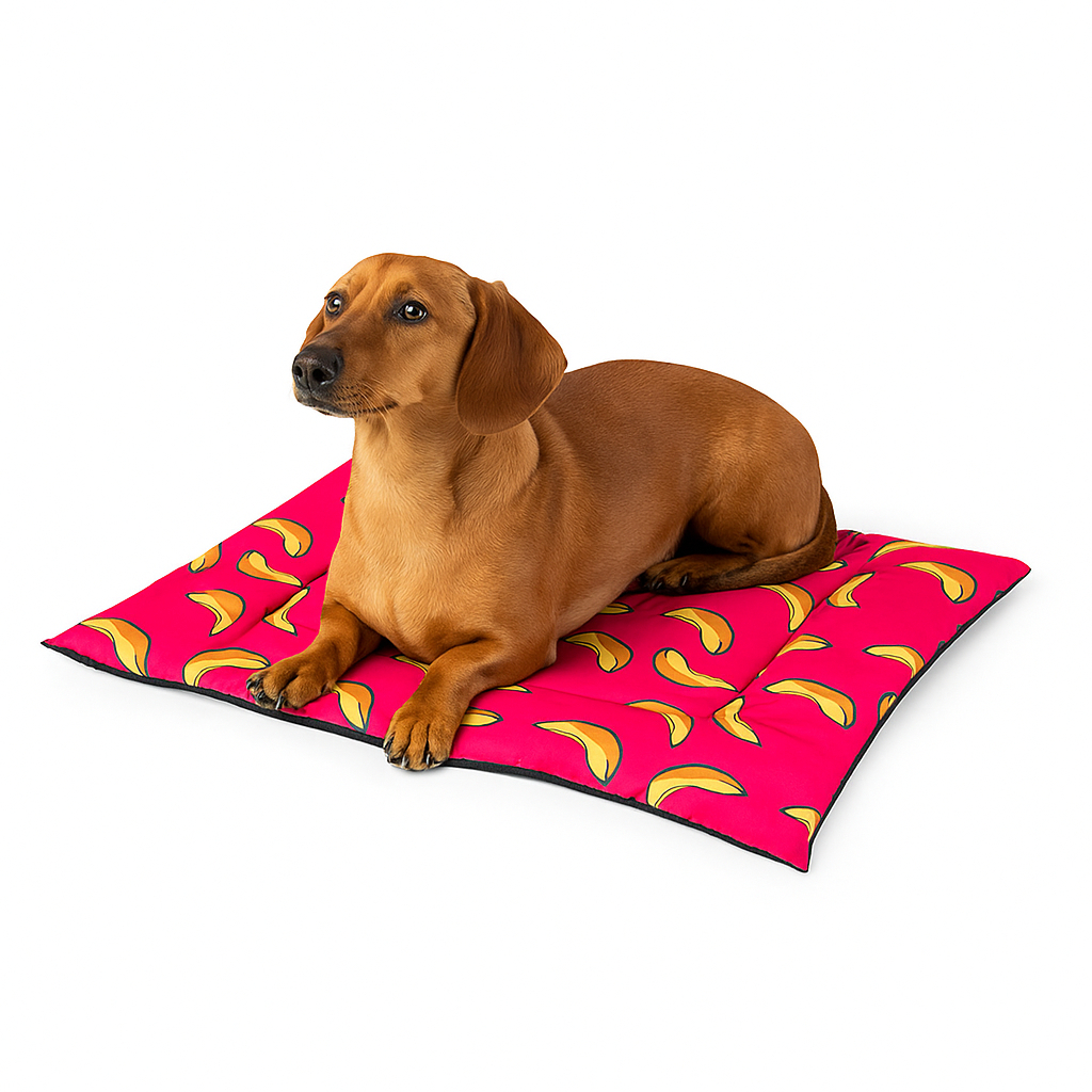 Colchonete Pet caminha para cachorro gato 45x65 Fundo tnt impermeavel Anti Friagem filhote Gato
