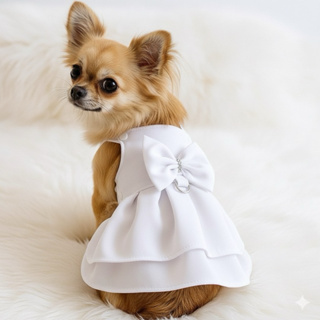 vestido pet noiva para cachorros raças pequenas e medias em Oferta na Shopee