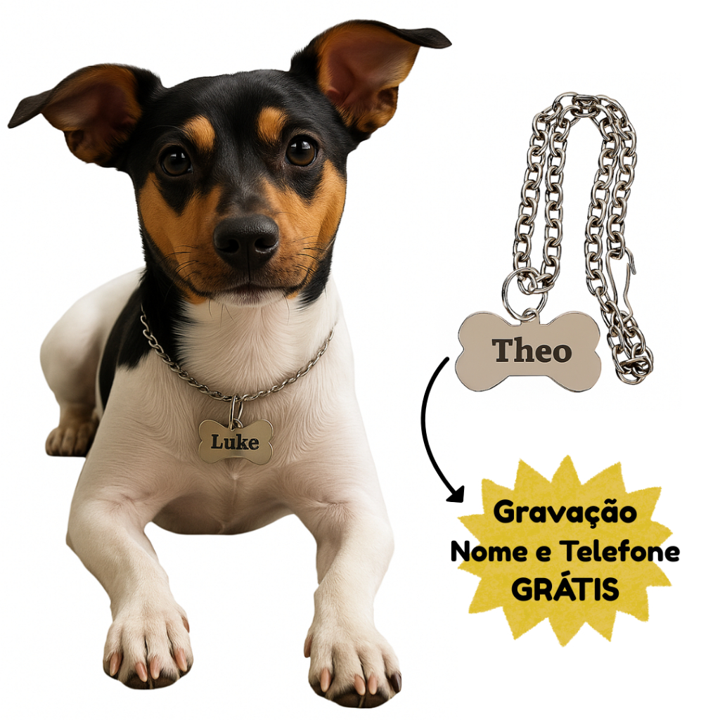 Coleira para Cachorro Corrente com Placa Identificação Nome e Telefone em Oferta na Shopee