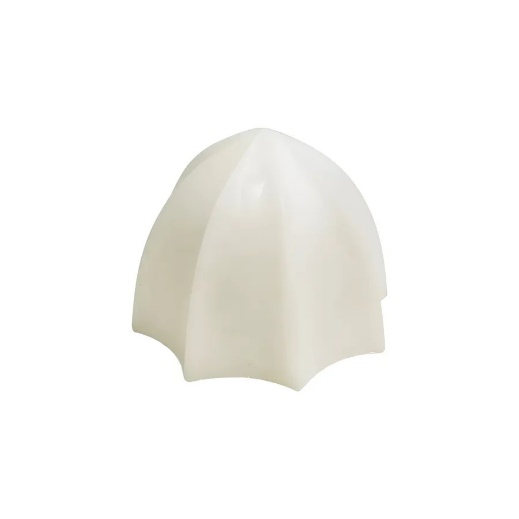 Carambolas Tron para Espremedor de Frutas – Eixo Meia Lua (2 Peças)