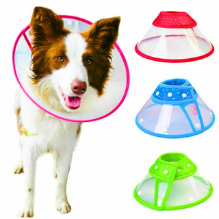 COLAR ELIZABETANO CONE PÓS CIRÚRGICO CONFORTÁVEL PARA CACHORRO E GATO