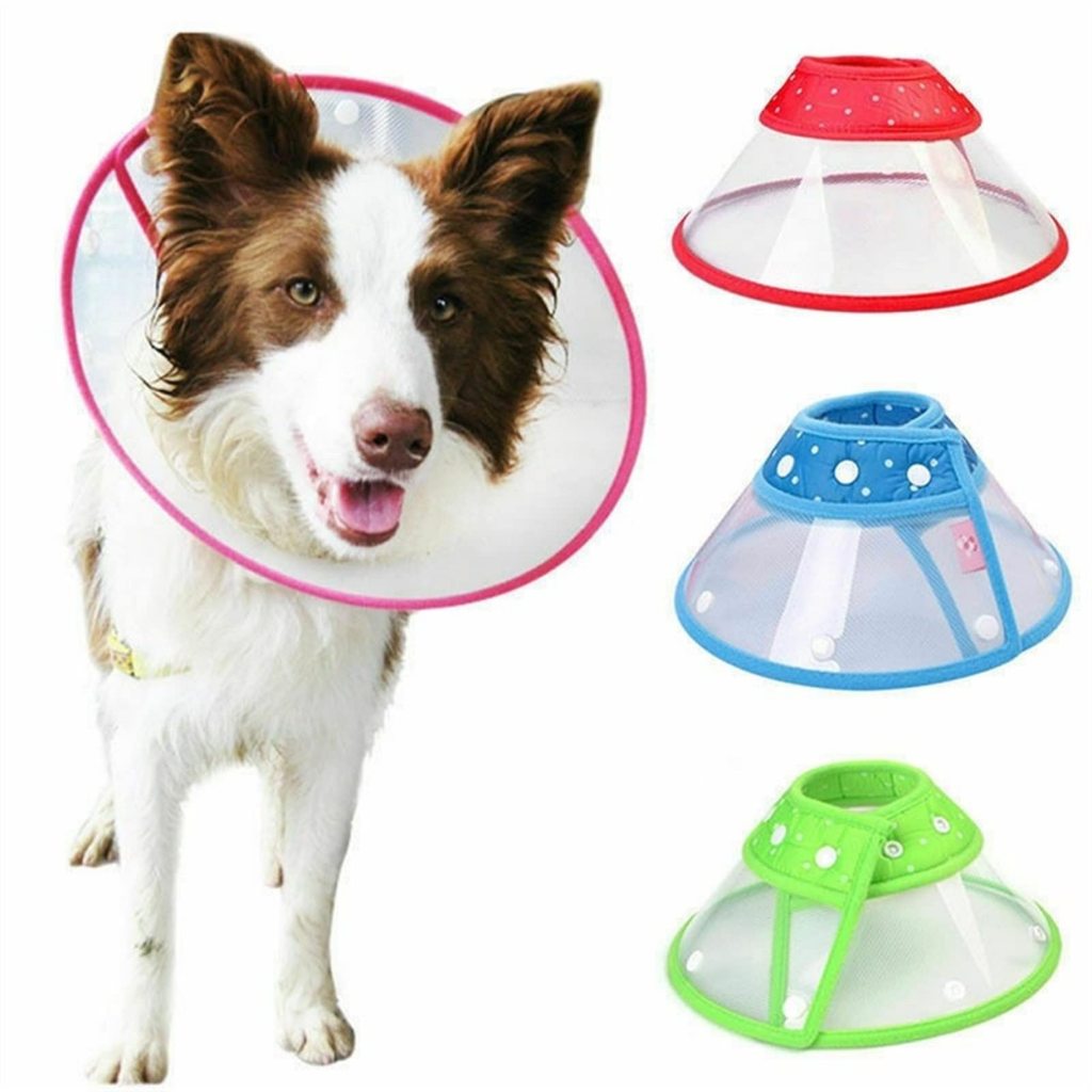 COLAR ELIZABETANO CONE PÓS CIRÚRGICO CONFORTÁVEL PARA CACHORRO E GATO