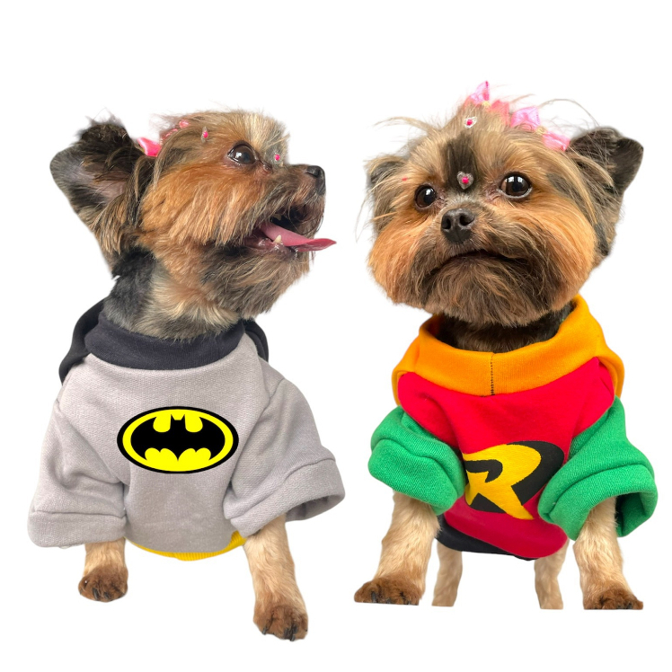 KIT FANTASIA PET roupa roupinha batman e robin DC superman vintage cachorro gato algodão moletom spitz lulu shih tzu