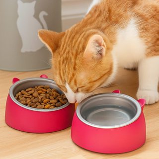 Comedouro Elevado Cachorro Gato Bebedouro Ração Água 250ml Orelha Fofo Luxo Unidade e Kit Com 2 em Oferta na Shopee