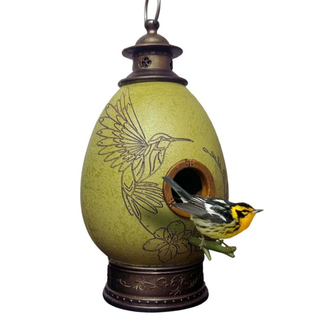 CasaOvo casinha de passarinho. Casa Pássaros Jardim