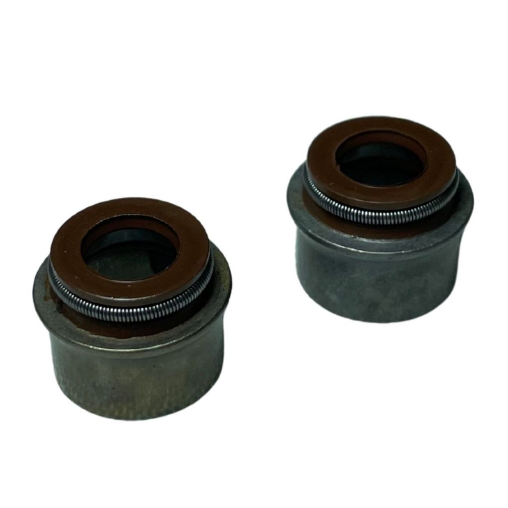 Kit Retentor Válvula Motor Diesel 10hp 13hp Carbon Fak Zmax