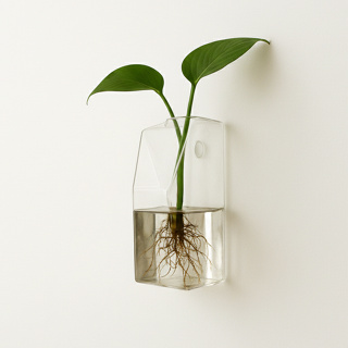 Plantas Penduradas Flores Vaso Vidro Parede Hidropônico Decoração em Oferta na Shopee