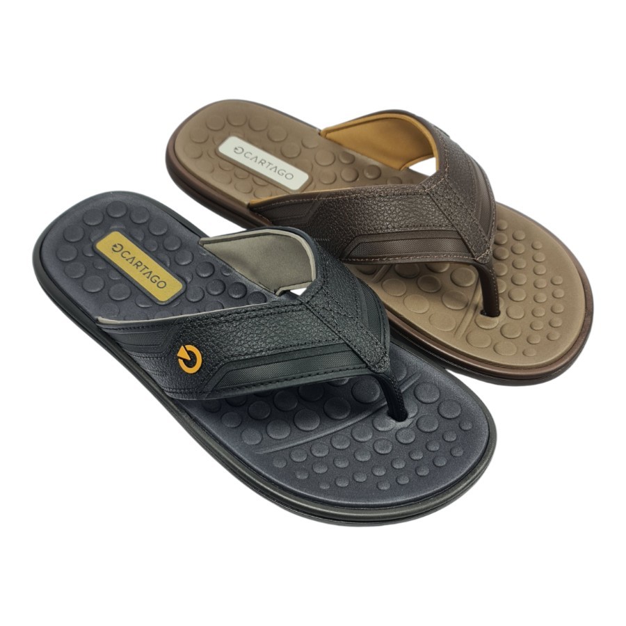 Chinelo Masculino Cartago Veneto III 12452