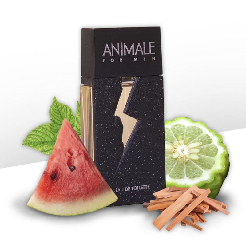 Perfume Animale For Men Masculino Importado 100ml Alta Fixação