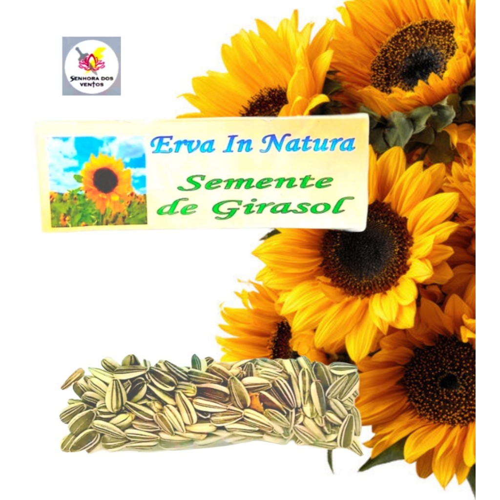 Semente de Girassol - Erva Seca/ Erva in Natura