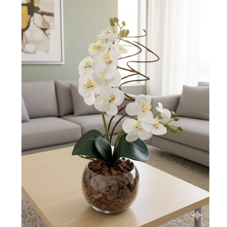 Arranjo Especial Orquídea 40 cm de Altura + Rococó - Acabamento Casca e Musgo Natural em Oferta na Shopee