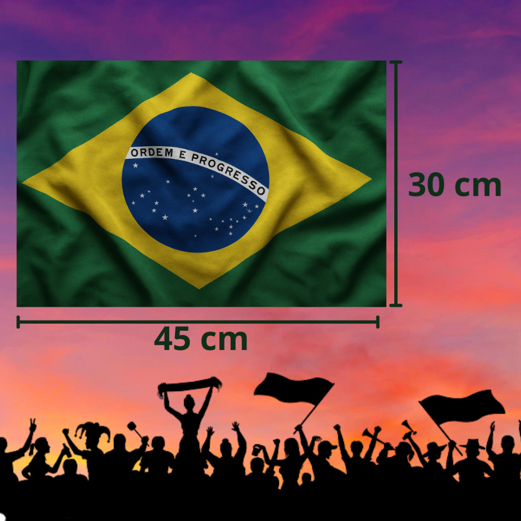 Kit 1/2/3 Bandeira Do Brasil Oficial 0,45m X 0,30m Manifesto 45cm X 30cm Torcida Rua Avenida Mundial em Oferta na Shopee