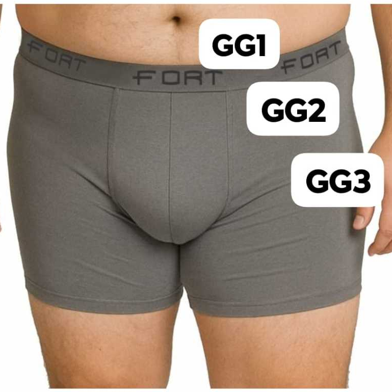 Kit 15 Cuecas Plus Size Masculino Microfibra Extra Grande