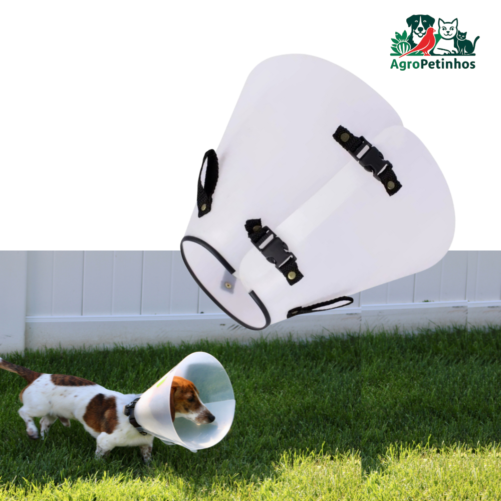 Colar Elizabetano Pós-Cirúrgico para Cachorros – Cone Protetor Anti-Lambeção Cães, gatos, pet em Oferta na Shopee