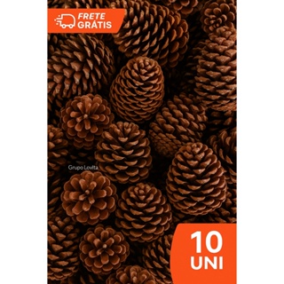 Kit 10 Pinhas Para Artesanato e Decoração Natal - 100% Natural em Oferta na Shopee