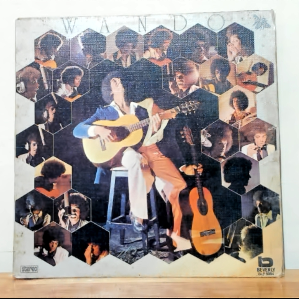 Wando - Wando 1975 - LP MPB - DISCO DE VINIL