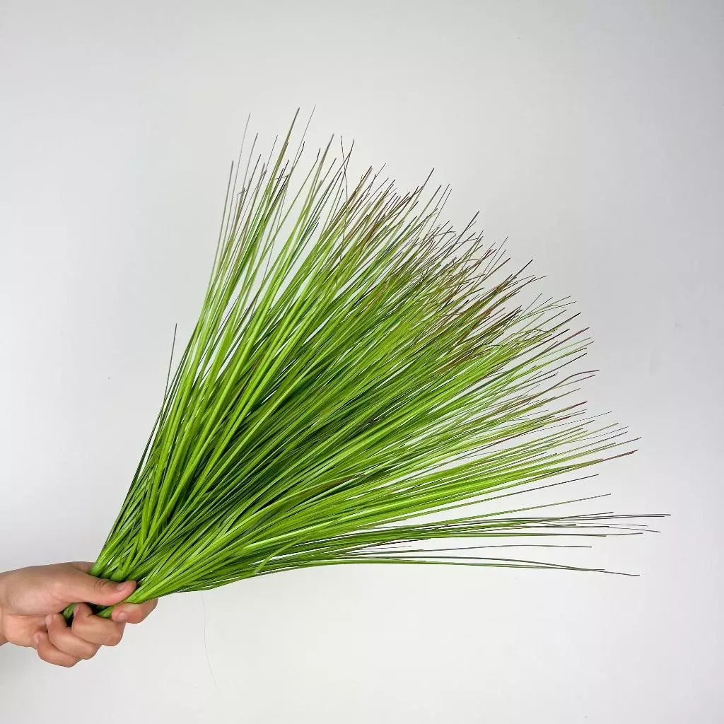 Capim Natural Artificial Vanila Para Decoração Jardim Galho Permanente Verde - SY802795
