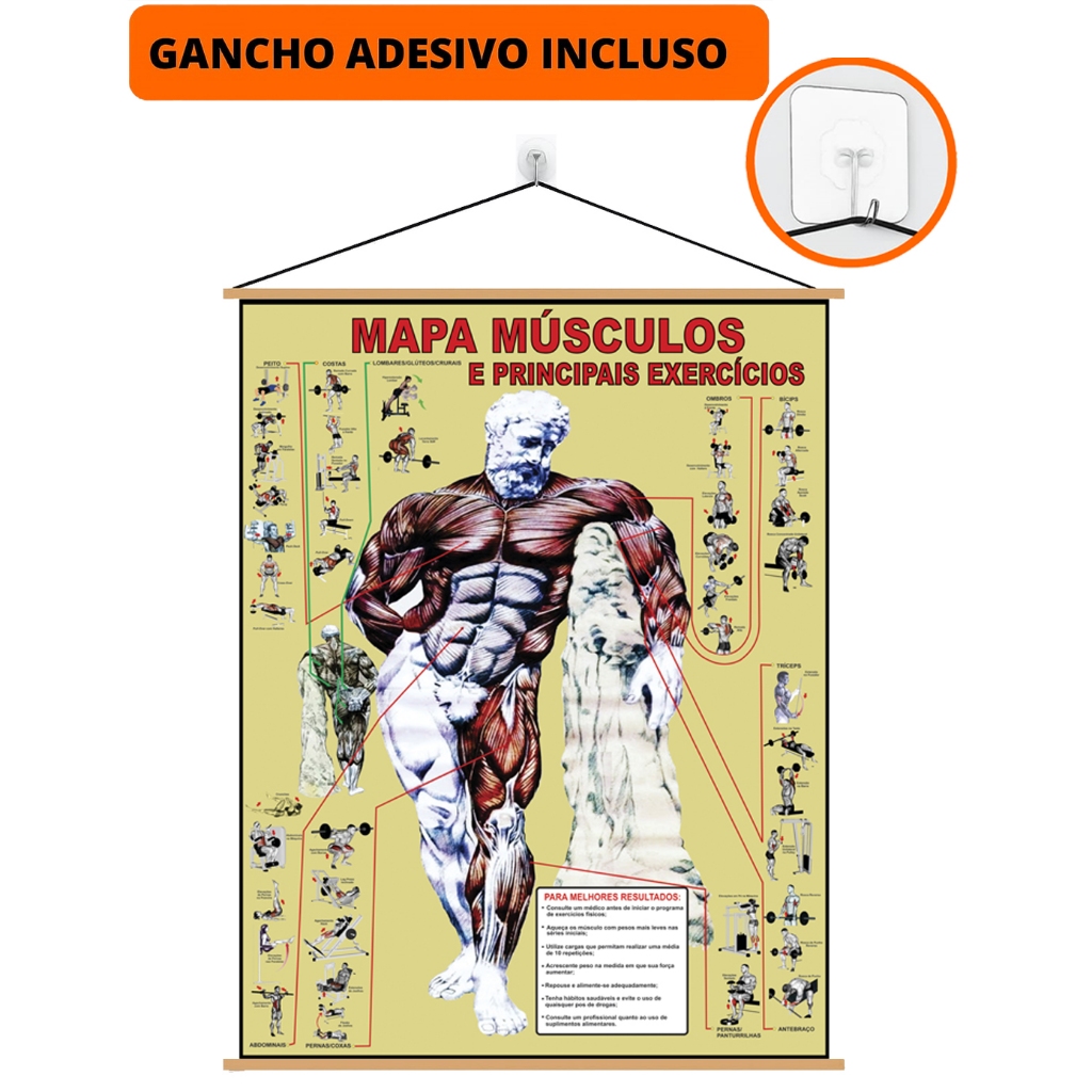 Mapa Músculo Exercício Academia Banner + Gancho Autocolante Pronto Para Pendurar em Oferta na Shopee