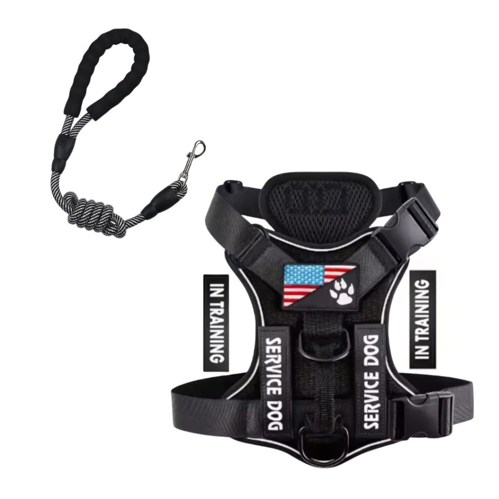 Kit Peitoral com Regulagem + Guia de Corda Reforçada Passeio Treinamento Segurança Conforto Coleira em Oferta na Shopee