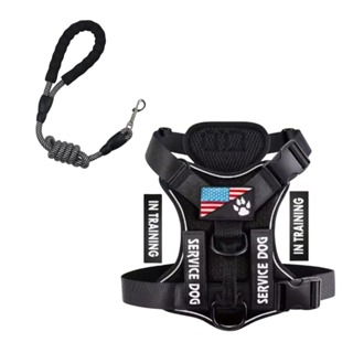 Kit Peitoral com Regulagem + Guia de Corda Reforçada Passeio Treinamento Segurança Conforto Coleira em Oferta na Shopee