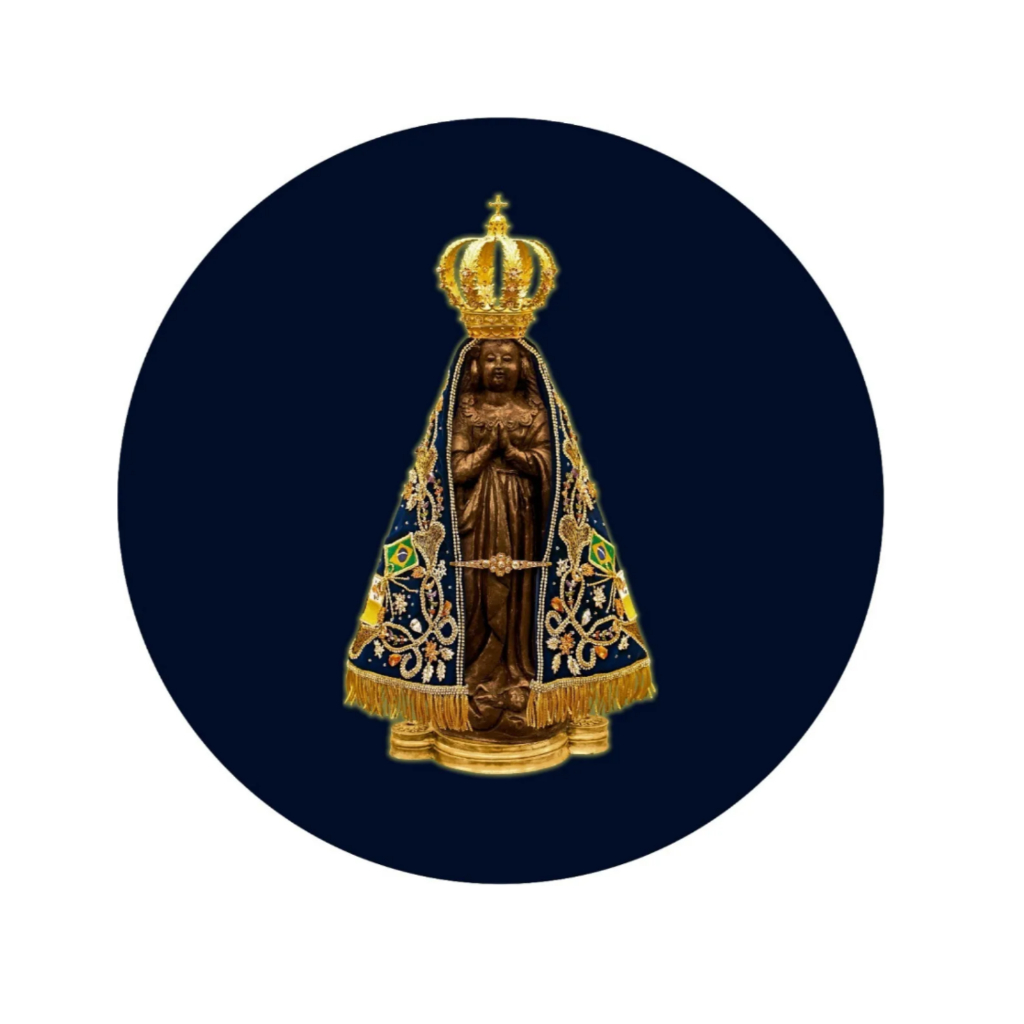 Capa De Estepe Ecosport Nossa Senhora Aparecida Azul